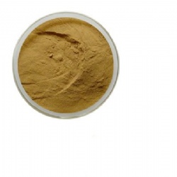 Biotech Red/Black Ginger Root Extract Water Soluble Gingerol 5